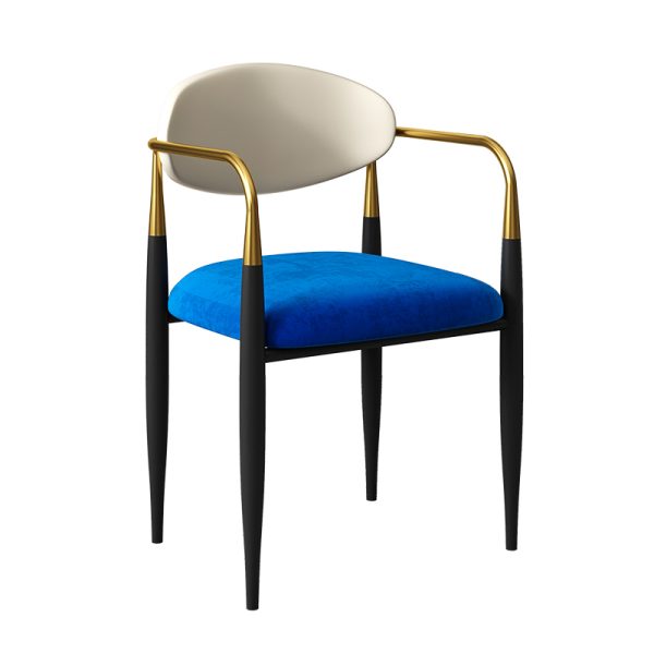 Ēdamistabas krēsls ar greznu polsterējumu